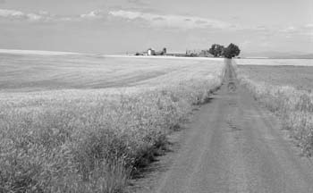 Gravel Road and Farm
